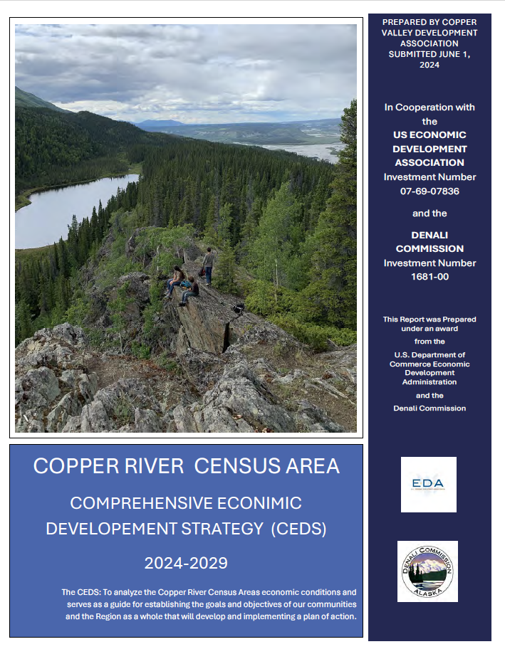 Link to CVDA CEDS report